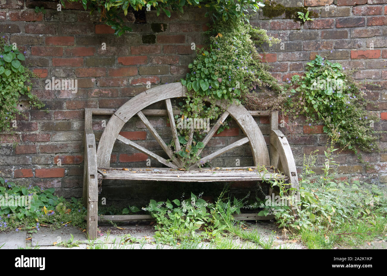 Un banc de jardin de forme inhabituelle à côté d'un mur de briques avec de l'ivy et d'autres plantes Banque D'Images