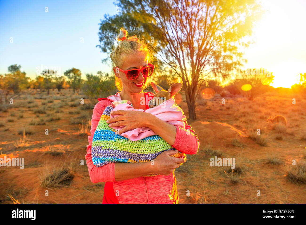 Woman holding touristique kangourou bébé orphelin au coucher du soleil la  lumière du soleil dans l'outback australien. L'interaction avec kangourou  mignon orphelin. En marsupial australien Photo Stock - Alamy