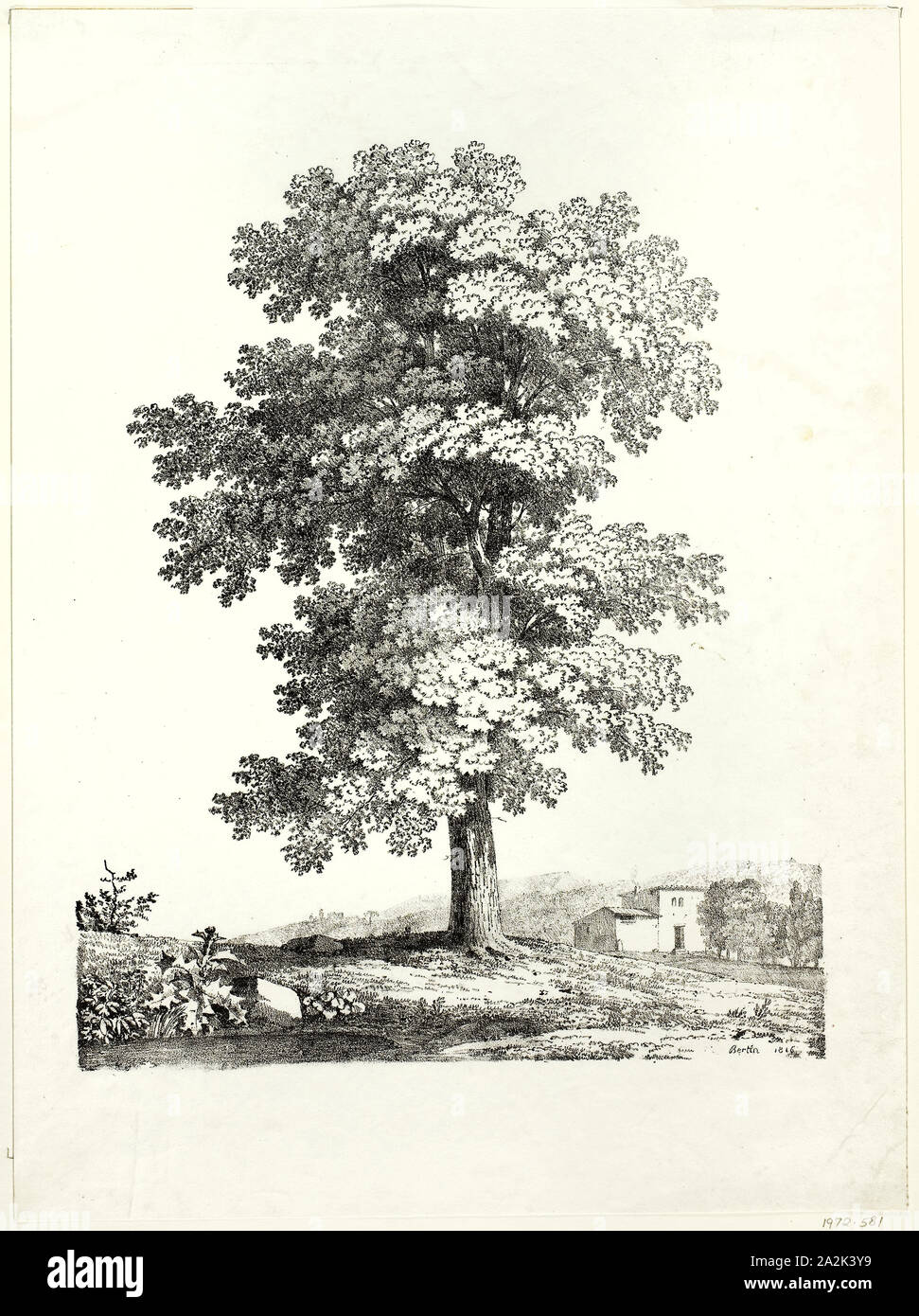 Étude d'un arbre, 1816, Jean Victor Bertin (Français, 1775-1842), imprimé par le comte Charles Philibert de Lasteyrie du Saillant (Français, 1759-1849), France, lithographie en noir sur papier vélin ivoire, 381 × 310 mm (image), 499 × 369 mm (feuille Banque D'Images