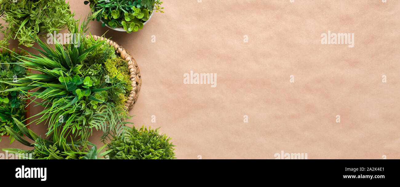 Les plantes en pot sur fond de papier craft Banque D'Images