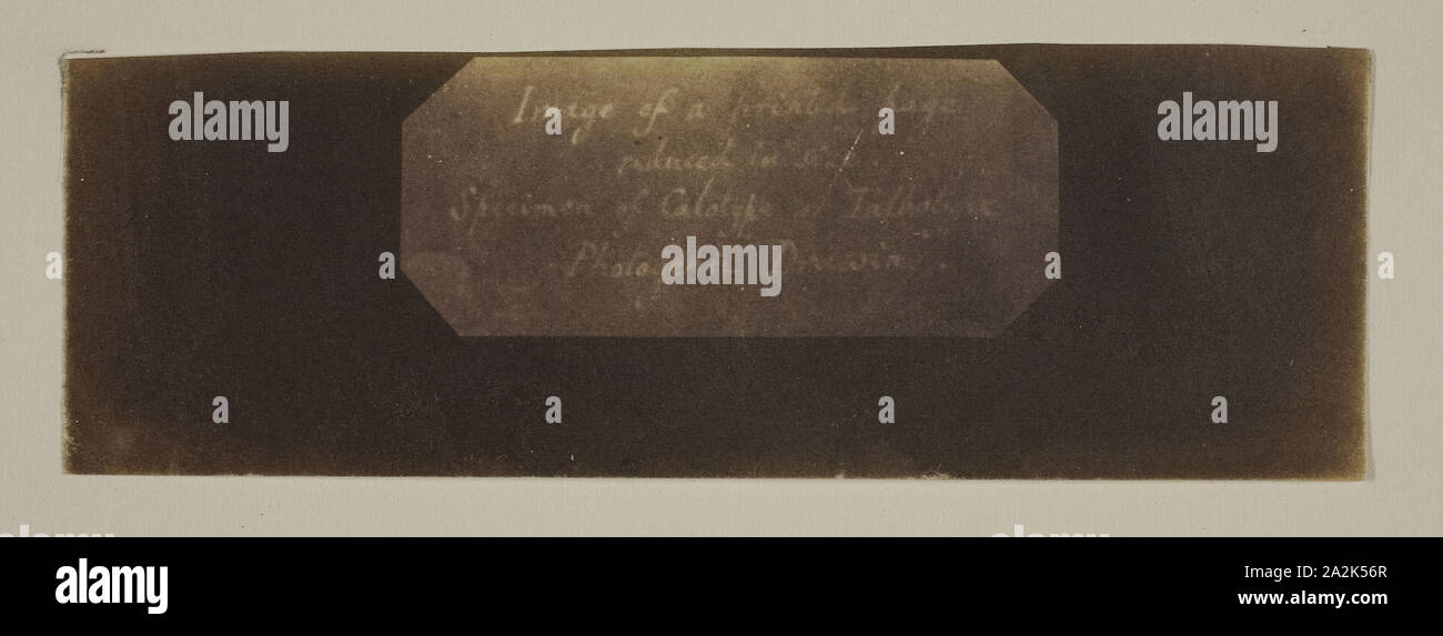 Spécimen de Calotype de Talbotype, dessin photogénique [label], ch. 1840/41, William Henry Fox Talbot, l'anglais, 1800-1877, l'Angleterre, Calotype négatif, 3 × 7,4 cm (image), 4,6 × 14,6 cm (papier Photo Stock