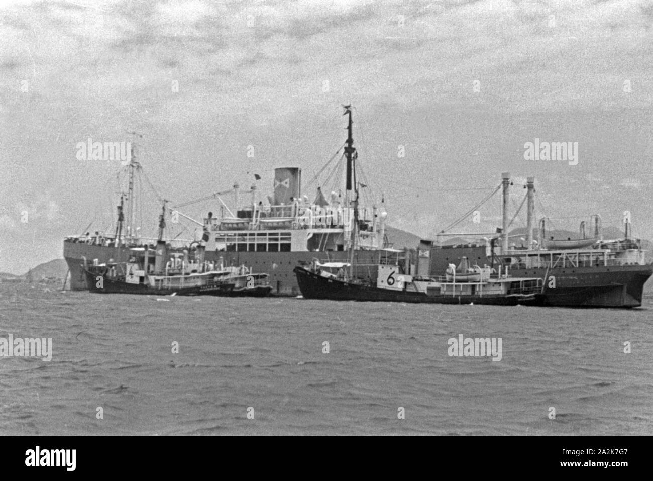 Die Fangboote "Treff IV' und Treff 'VI' beim Mutterschiff «Jan Wellem' der deutschen Walfangflotte, 1930er Jahre. Les baleiniers "Treff IV" et "Treff VI' avec leur navire 'Jan Wellem' de la flotte allemande, 1930. Banque D'Images