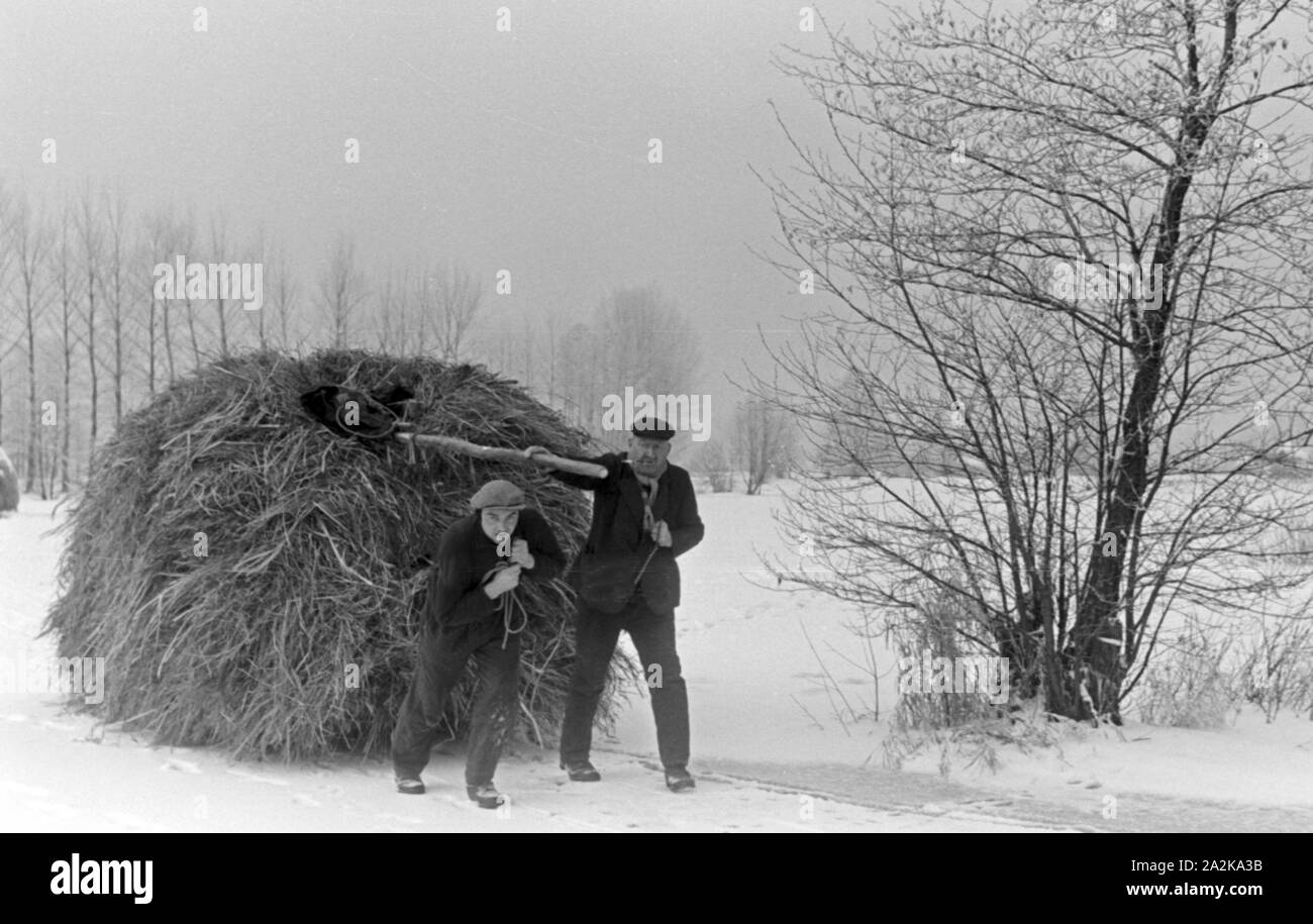 Zwei Männer apporter Feuerholz aus dem Spreewald, Deutschland 1930 er Jahre. Deux homme tirant du bois de chauffage d'une forêt de Spreewald, Allemagne 1930. Banque D'Images