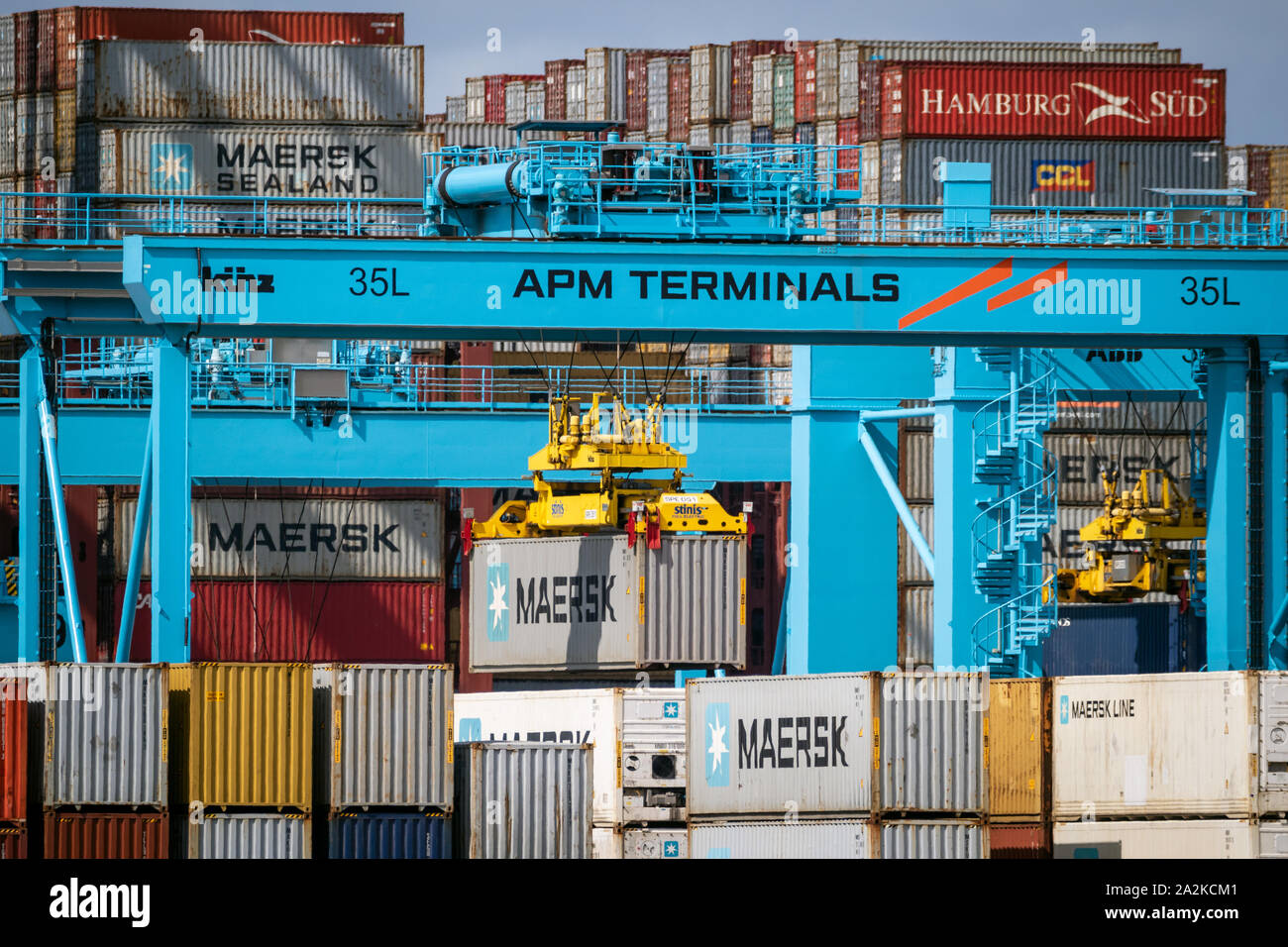 ROTTERDAM, Pays-Bas - SEP 8, 2019 : des conteneurs d'expédition sont déplacés dans l'APM dans le nouveau Terminal Maasvlakte 2 dans le port de Rotterdam. Banque D'Images