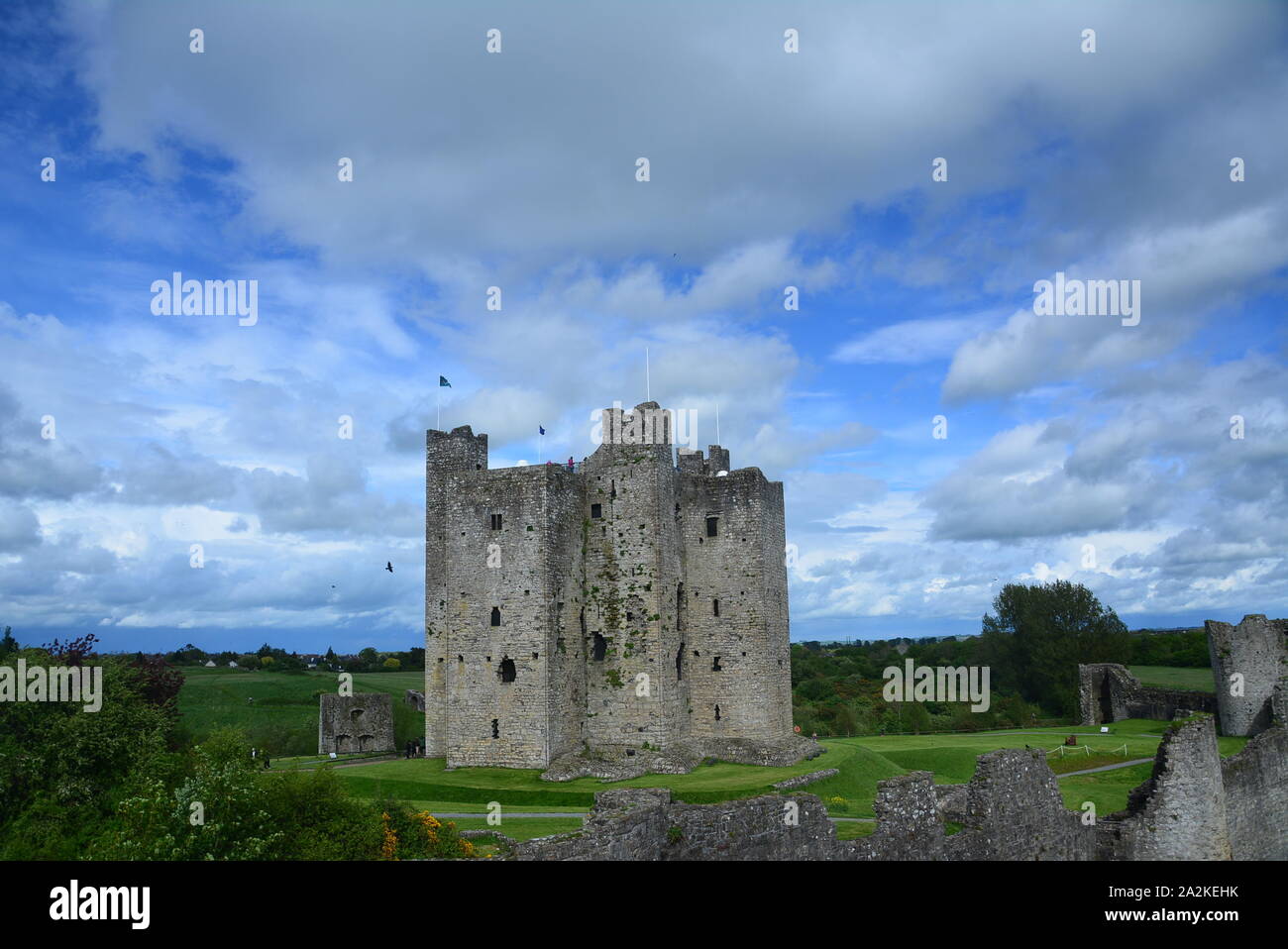 Le Château de Trim, l'Irlande. L'image de jour Banque D'Images