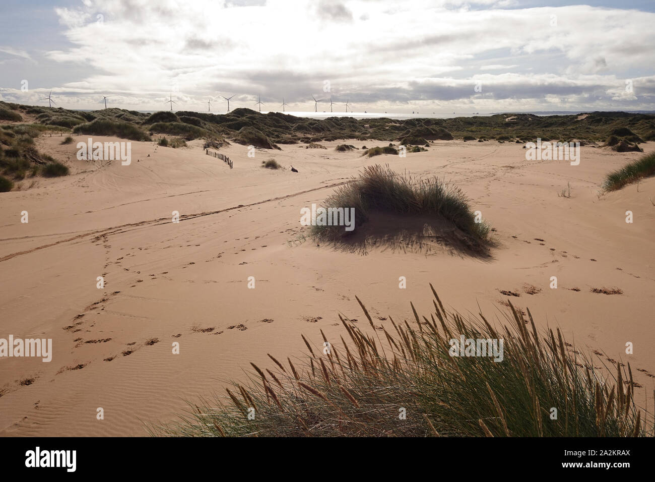 Dunes de sable à Balmeie Beach Aberdeen Banque D'Images