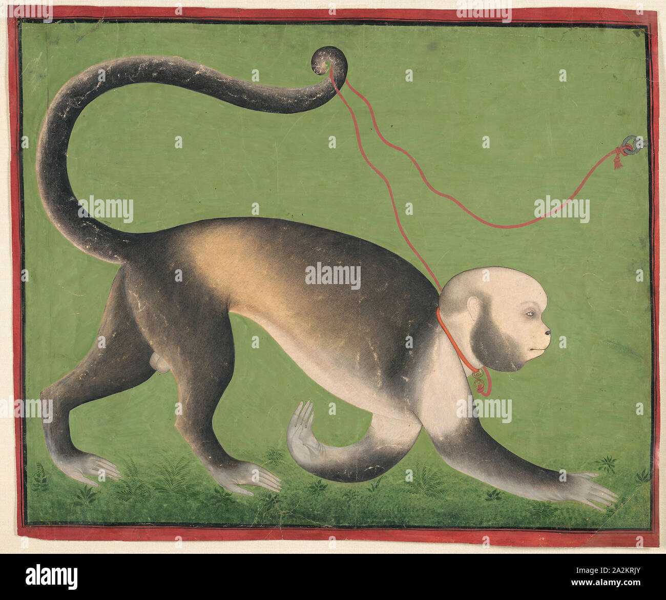 Un Portrait monumental d'un singe, ch. 1705-1710, l'Inde, Rajasthan, Mewar, Udaipur, attribuée à la Maître Crépi (actif c. 1692-c. 1715), l'Inde, opaque et aquarelle sur papier d'or, frontière ultrapériphériques : 48,5 × 58,7 × 23 cm (19 in.), de l'image : 45 × 56 × 22 cm (17,7 in Banque D'Images