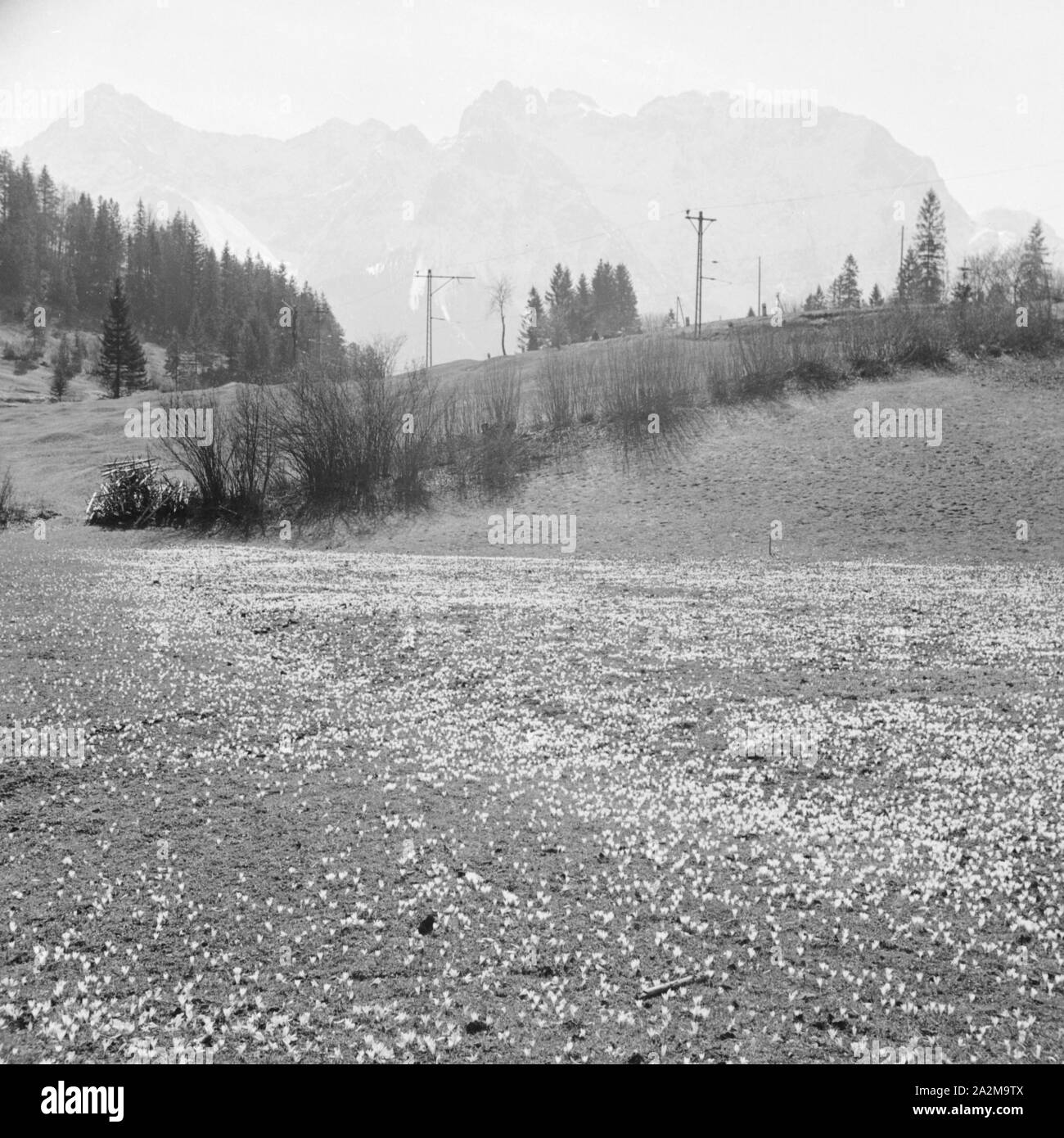 Berglandschaft im Frühling, Deutschland 1930er Jahre. Paysage de montagne au printemps, l'Allemagne des années 1930. Banque D'Images