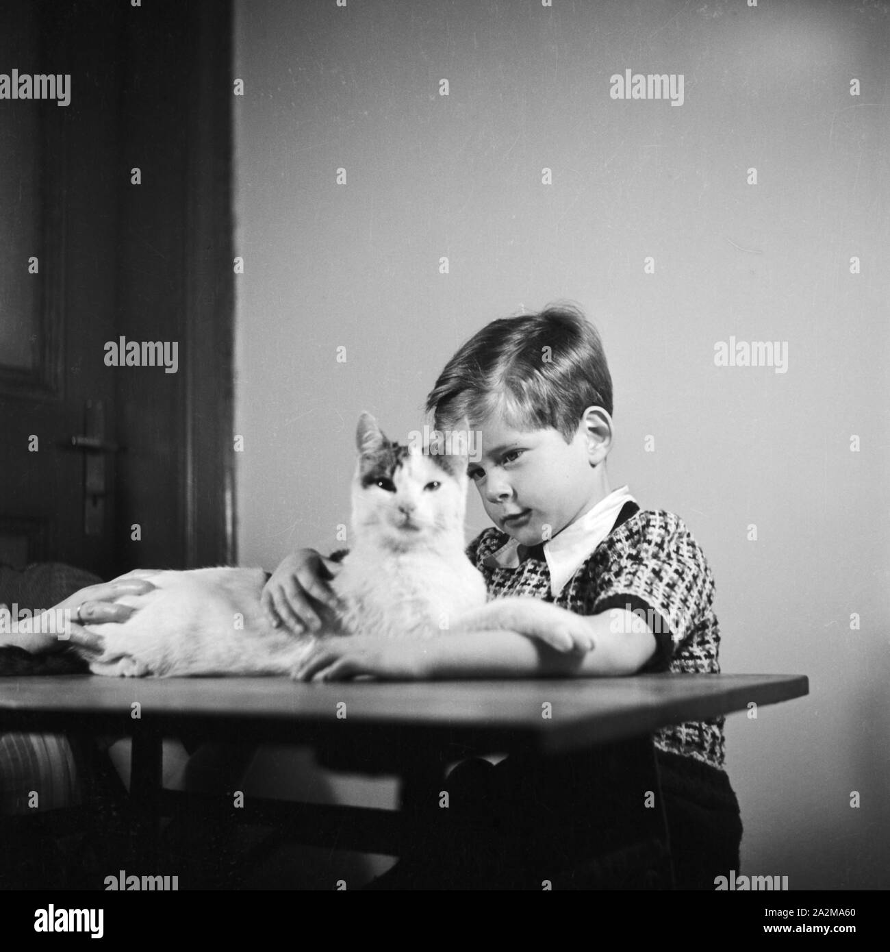 Ein kleiner Junge mit Katze senneur, Deutschland 1930er Jahre. Un petit garçon avec son chat, Allemagne 1930. Banque D'Images