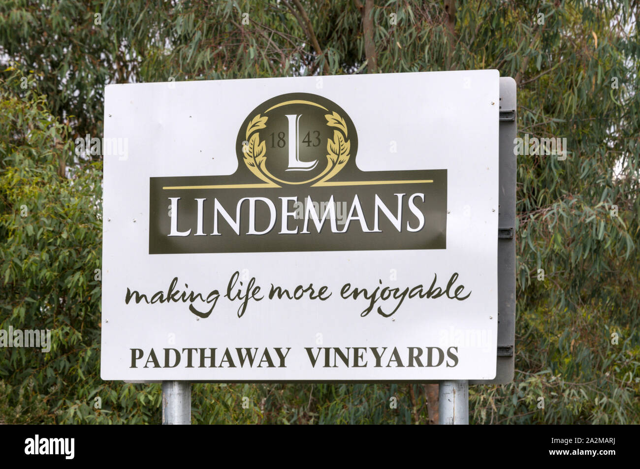 La Winery Lindeman dans la région viticole de Padthaway dans la zone de la Limestone Coast de l'Australie du Sud. Padthaway est une maison pour plusieurs autres grands co Banque D'Images