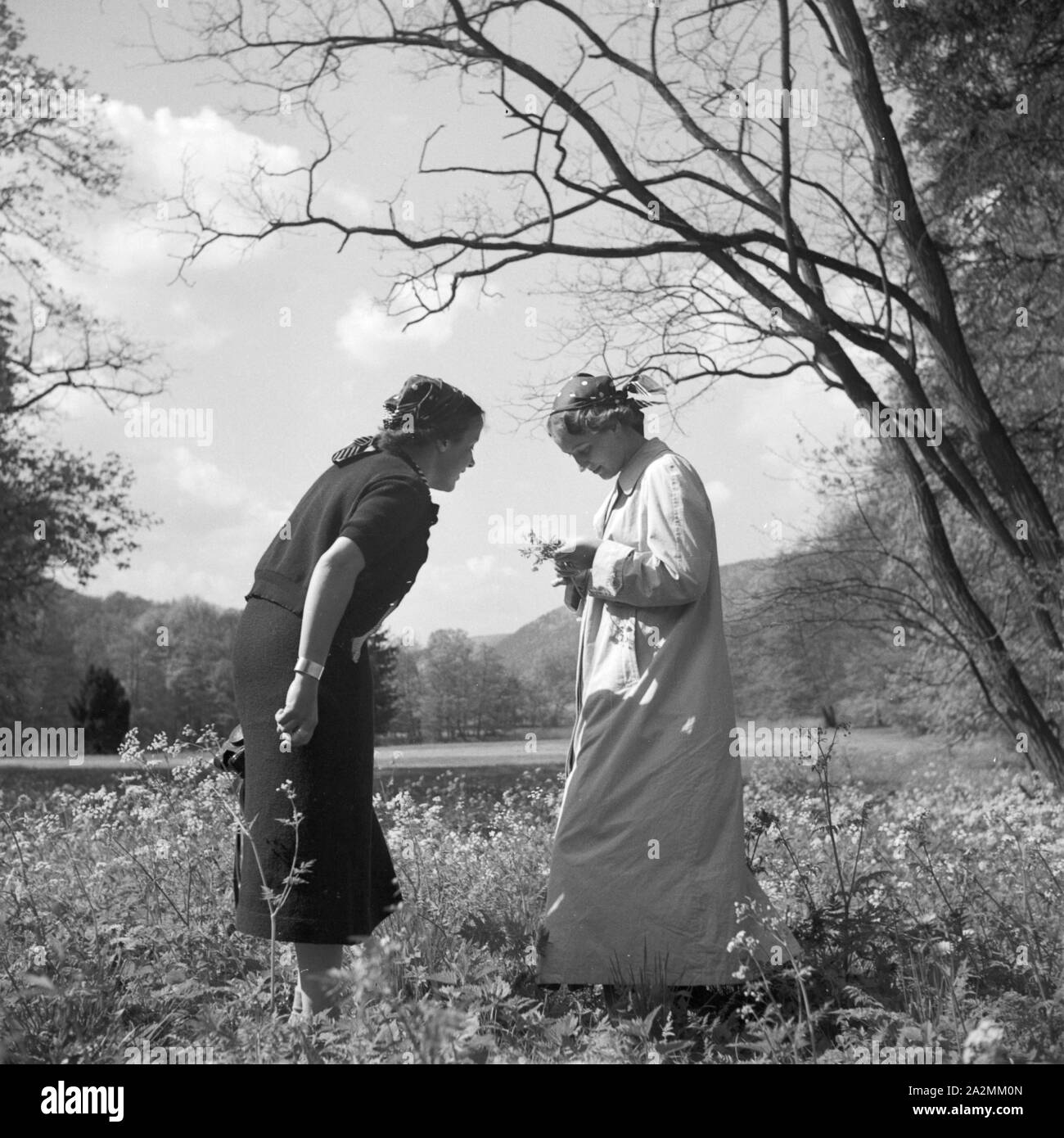 Zwei Frauen verwalten sich auf einer Blumenwiese, Deutschland 1930 er Jahre. Deux femmes sur une pelouse, Allemagne 1930. Banque D'Images