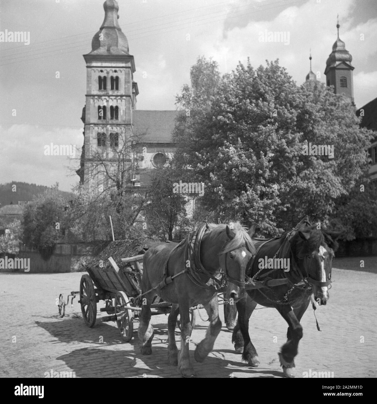 Mit der Pfarrkiche Pferdefuhrwerk Saint Gangolf im Hintergrund à Amorbach im Odenwald, Deutschland 1930 er Jahre. Transport de chevaux avec l'église de Saint Gangolf en arrière plan à Amorbach dans la région de l'Odenwald, Allemagne 1930. Banque D'Images