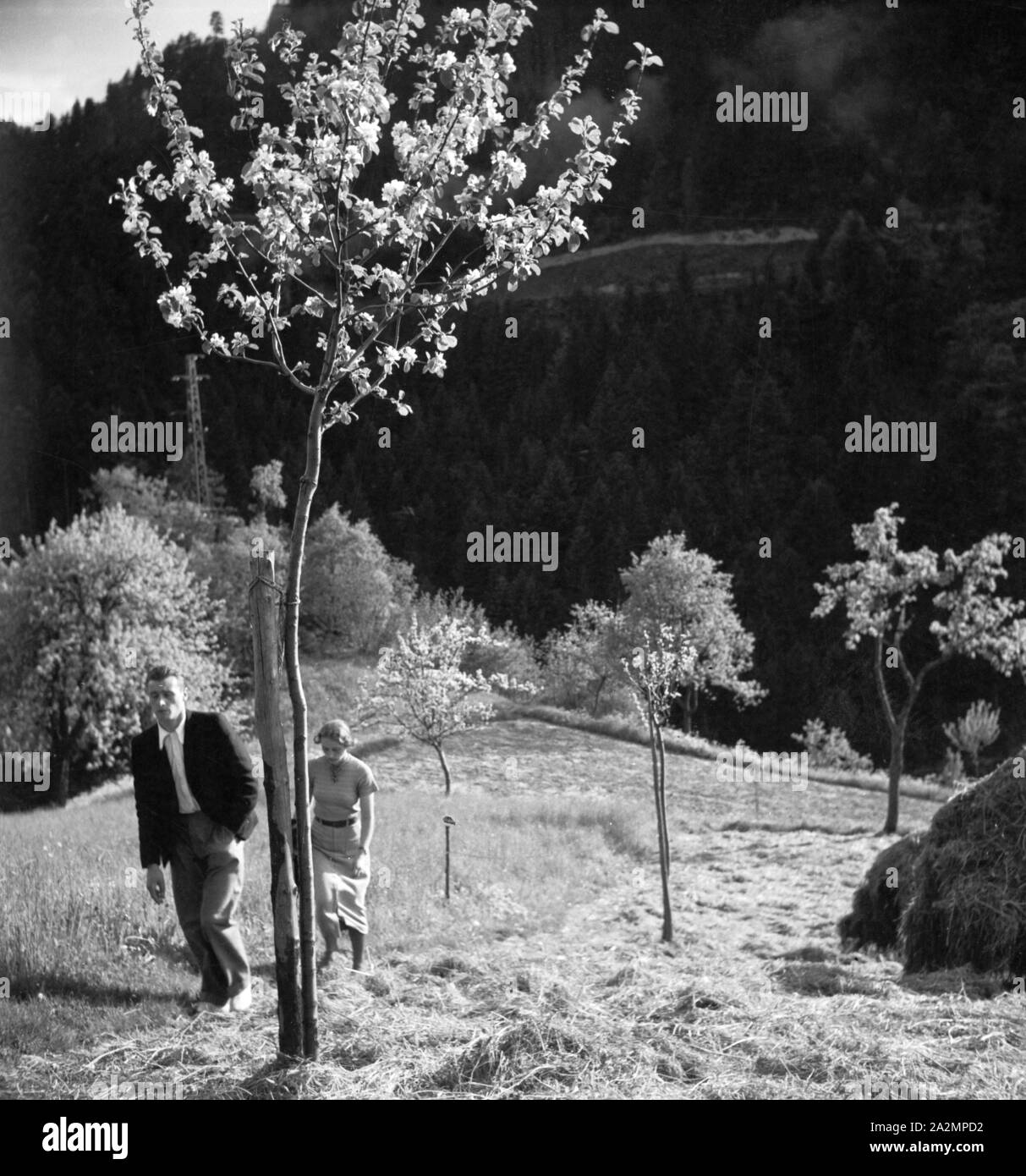 Ein Ausflug in den Südschwarzwald, Deutsches Reich 1930er Jahre. Un voyage dans le sud de la Forêt-Noire, Allemagne 1930. Banque D'Images