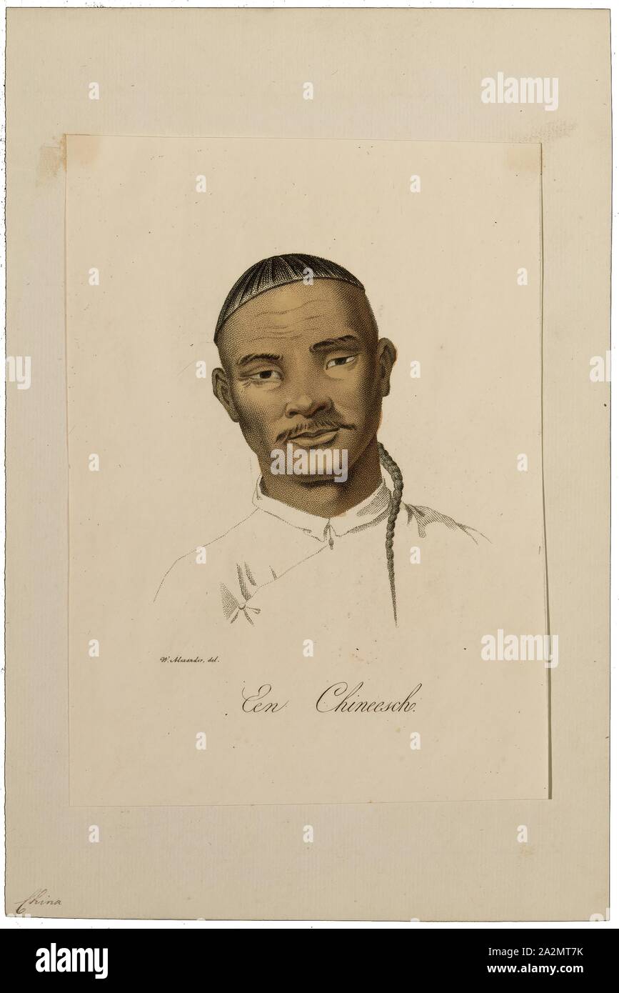 L'Homo sapiens, d'impression, l'Homo sapiens est la seule espèce