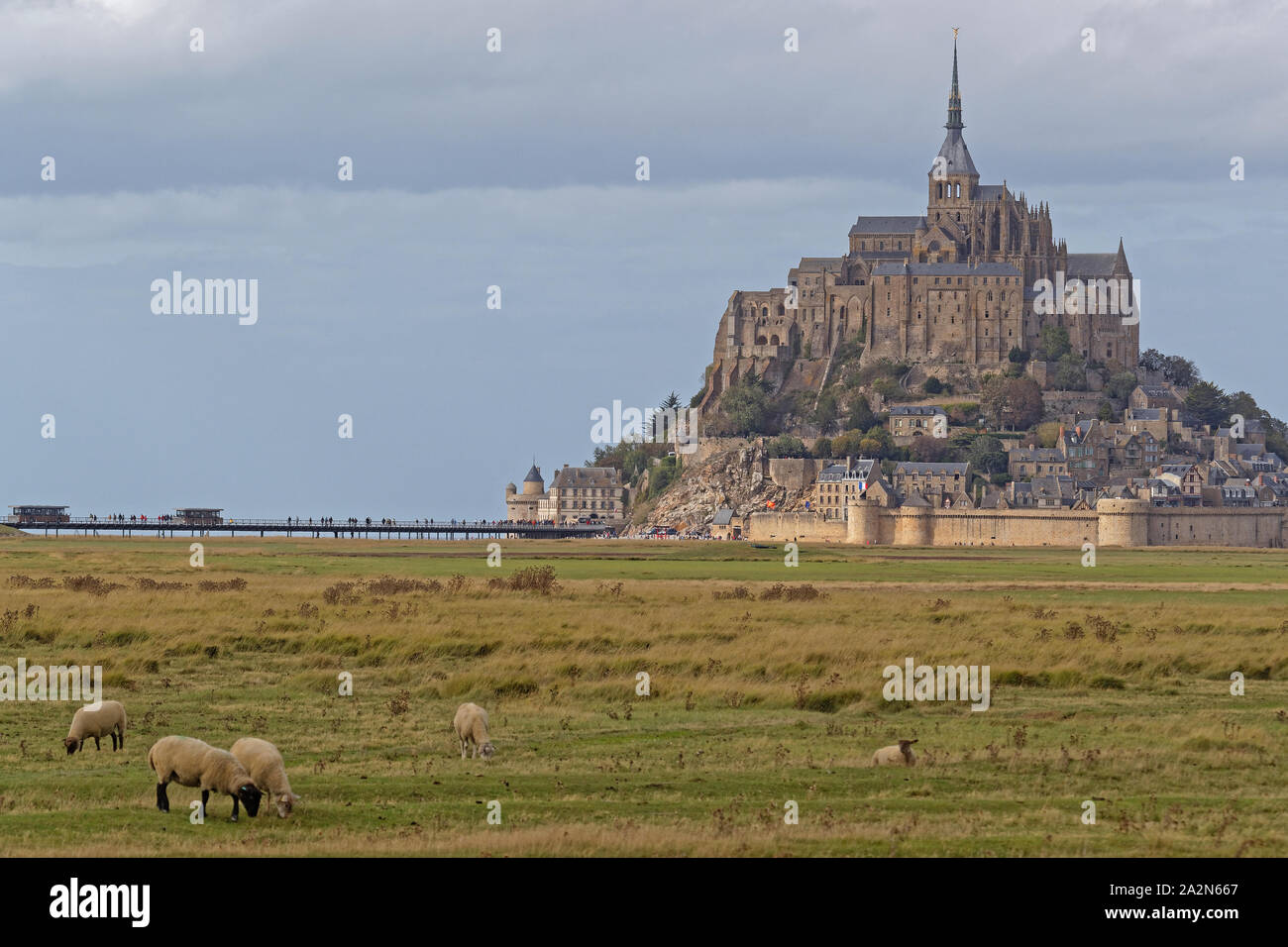 Marais Salant Baie Du Mont Saint Michel Banque d'image et photos - Alamy
