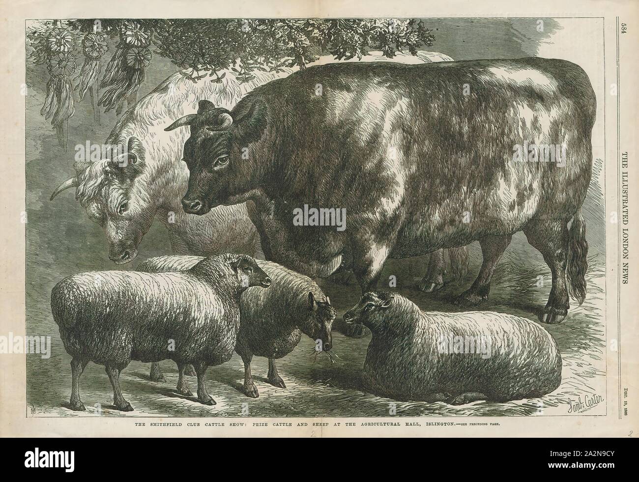 Ovis aries, Imprimer, mouton domestique (Ovis aries) sont des mammifères quadrupède ruminant, généralement conservés comme du bétail. Comme la plupart des ruminants, les moutons sont membres de l'ordre des artiodactyles, ongulés artiodactyles (à la. Bien que le nom des brebis s'applique à de nombreuses espèces du genre Ovis, dans l'utilisation quotidien qu'il est presque toujours référence à Ovis aries. La numérotation un peu plus d'un milliard de dollars, le mouton domestique est aussi le plus grand nombre d'espèces de moutons. Une femelle adulte ovin est appelée une brebis, un homme intact comme un bélier ou parfois un tup, un mâle castré comme dit s, et un plus jeune des moutons comme un agneau., 1868 Banque D'Images