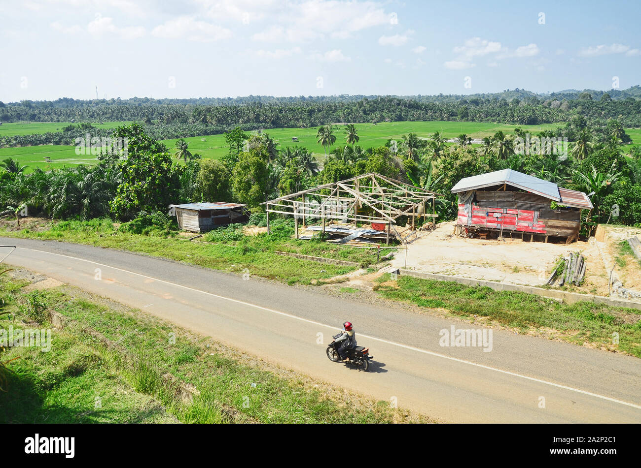 Vue paysage de riz paddy et de plantation de palmiers à huile dans l'Île Sebatik Banque D'Images