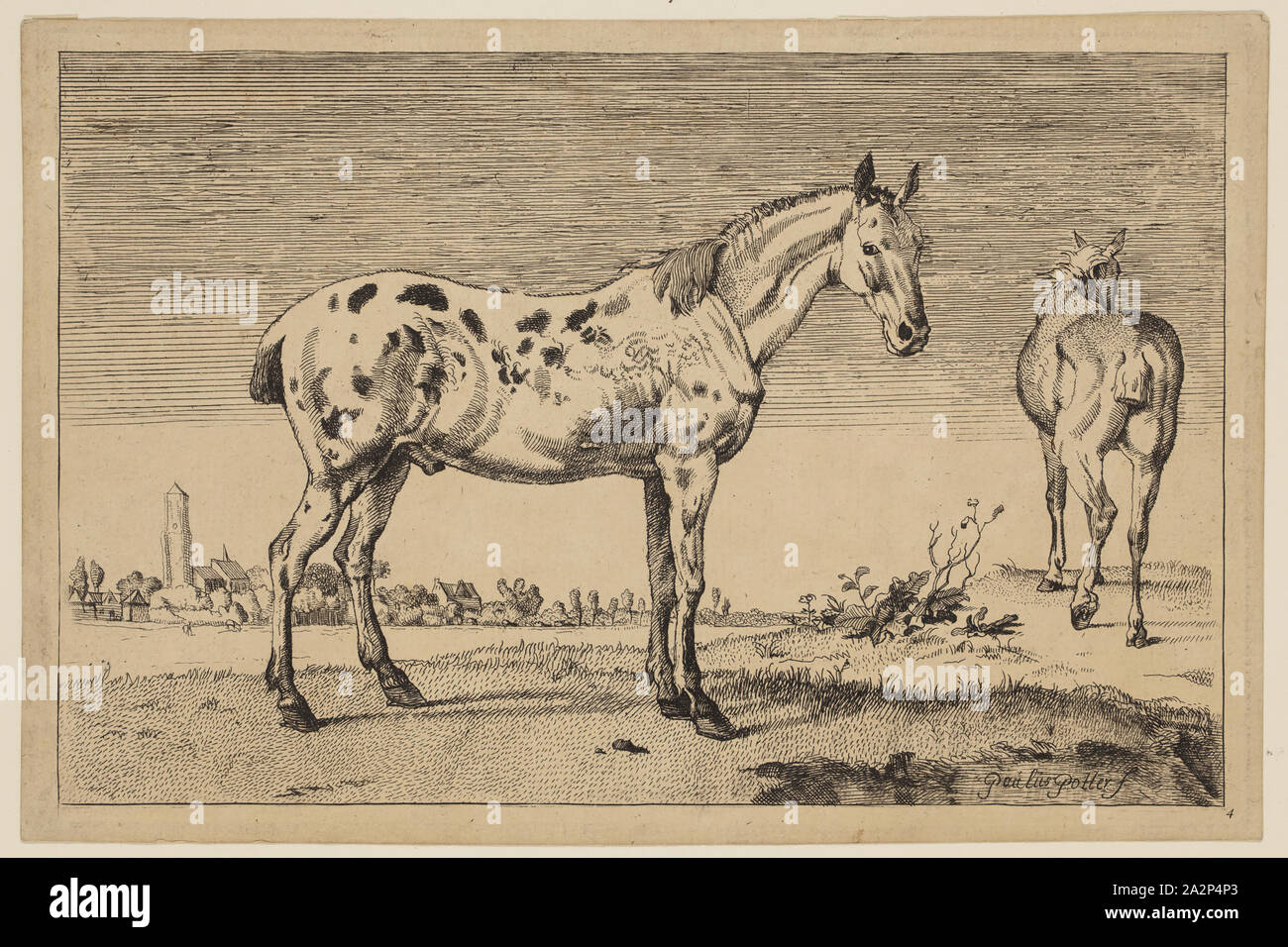 Artiste anonyme, après que Paul Potter, Néerlandais, 1625 - 1654, le cheval, 1652, copie 1887, la gravure et la roulette imprimé en encre noire sur papier vergé, plaque : 6 × 9 1/4 pouces (15,2 × 23,5 cm Banque D'Images