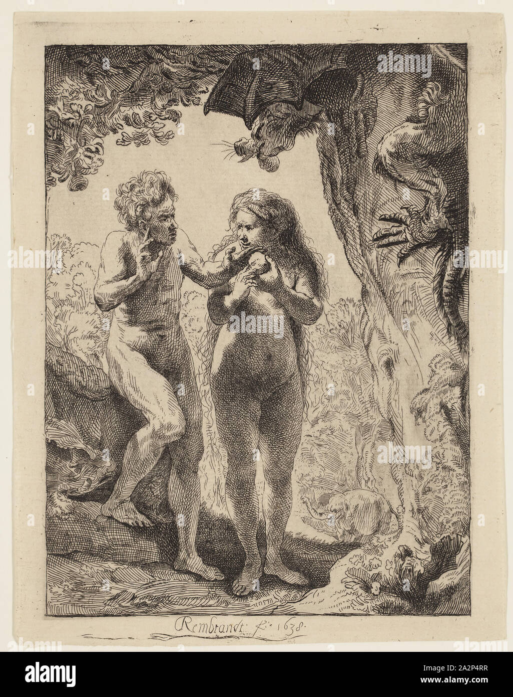 Adam et Eve. Rembrandt van Rijn, néerlandais, 1606-1669. Date : 1638.  Dimensions : 162 x 116 mm. Gravure sur papier vergé ivoire. Origine :  Pays-Bas. Musée : le Chicago Art Institute. Auteur :