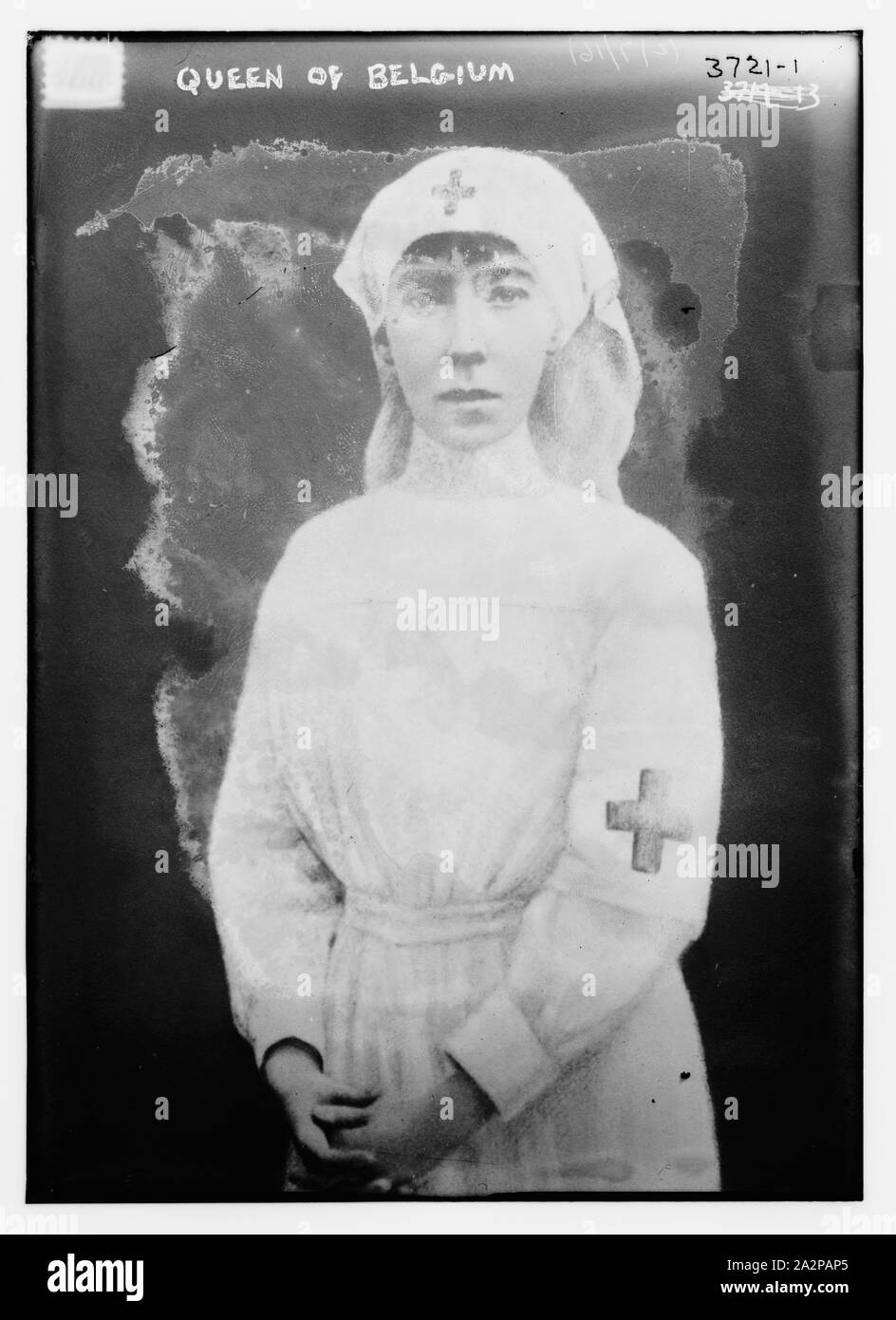 Reine de Belgique Banque D'Images