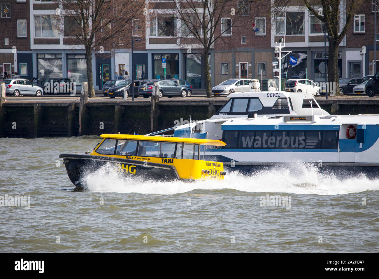 Rotterdam, Pays-Bas, le fleuve, l'eau Nouvelle Meuse taxi, connecte les différents quartiers de la ville, bus de l'eau, les transports publics sur la rivière, Banque D'Images