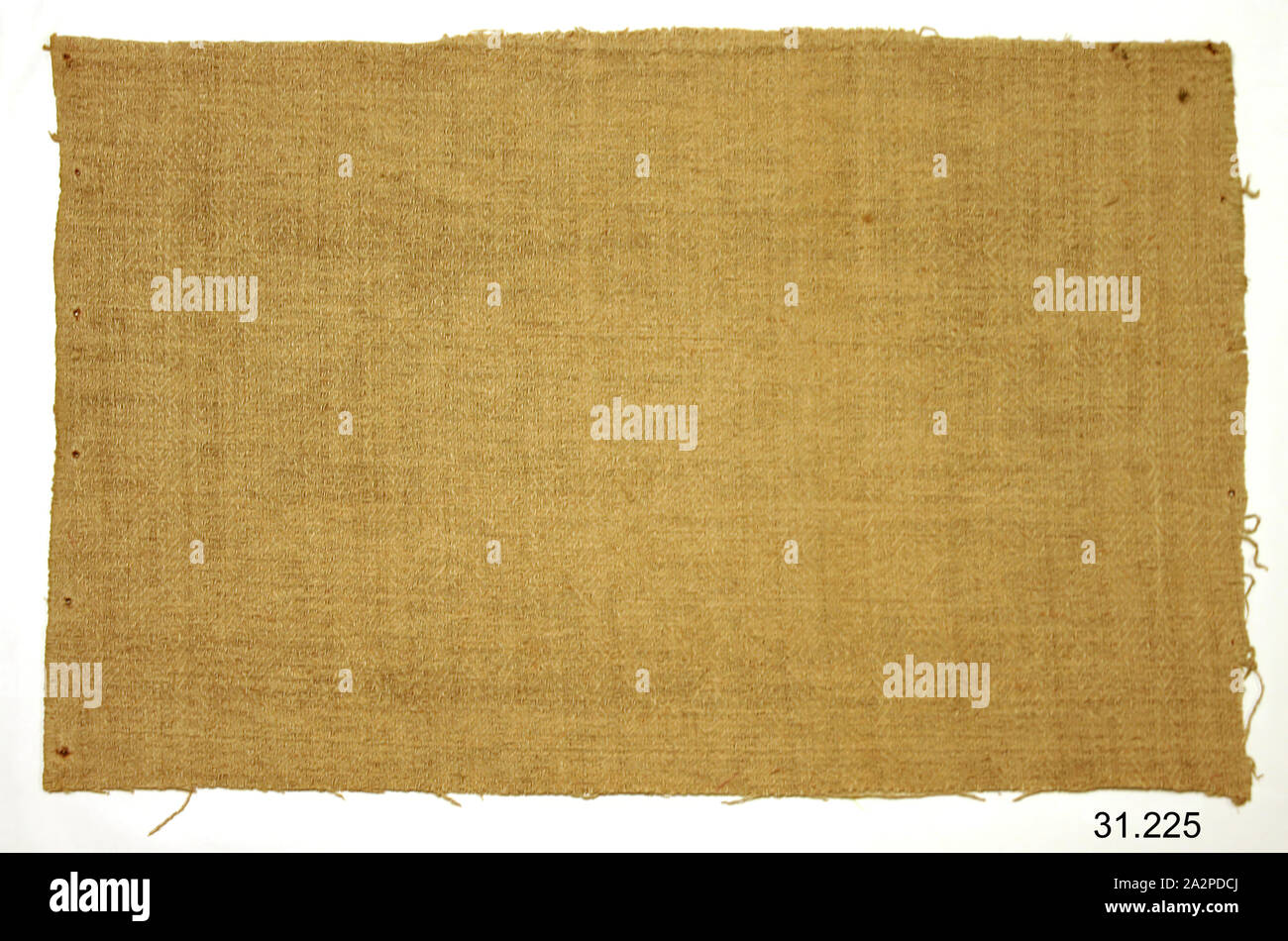 Inconnu (Espagnol), Fragment de textile, 17ème siècle, , twill, 13 3/4 x 20 1/4 in Banque D'Images