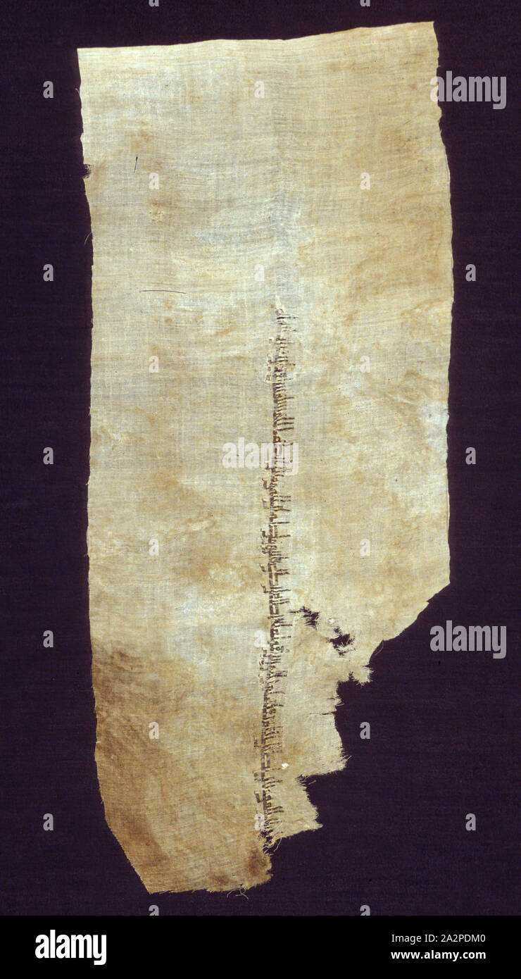 Égyptien, islamique, Fragment de textile Tiraz, 946/974, équilibré tissage ordinaire (tabby) ; face trame tissage ordinaire avec des trames discontinu (tapisserie) ; face trame armure avec trame supplémentaire ; une lisière de warp face à armure toile, 9 5/8 x 22 1/4 in Banque D'Images