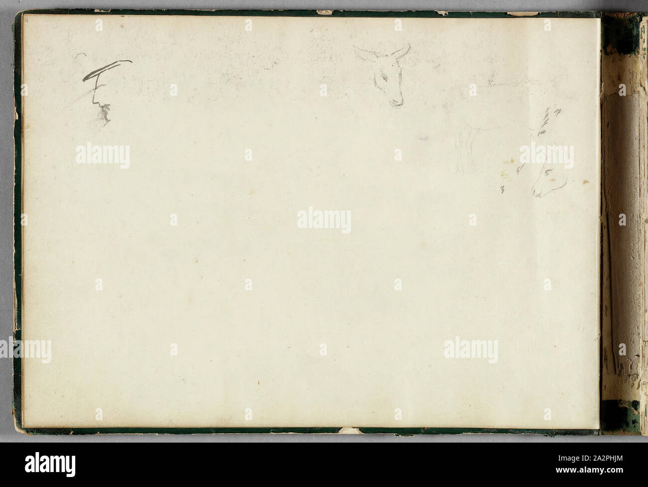 Thomas Cole, Américain, 1801-1848, tête humaine ; les animaux, 1832, plume et encre noire et crayon graphite sur papier vélin blanc cassé, feuille : 8 3/4 x 12 3/8 pouces (22,2 × 31,4 cm Banque D'Images