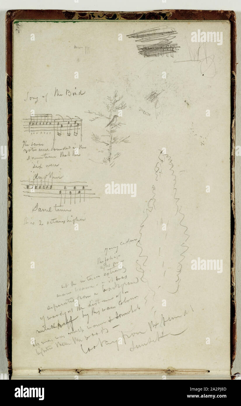 Thomas Cole, Américain, 1801-1848, le chant des oiseaux et les jeunes M. Cèdre, ca. 1833, crayon sur papier vélin blanc cassé, feuille : 4 1/8 x 6 1/2 pouces (10,5 × 16,5 cm Banque D'Images