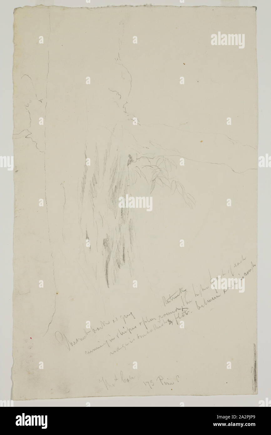 Thomas Cole, Américain, 1801-1848, le tronc d'un Marronnier, 19e siècle, d'un crayon à mine de graphite sur papier vélin blanc cassé, feuille : 9 po × 5 5/8 pouces (22,9 × 14,3 cm Banque D'Images