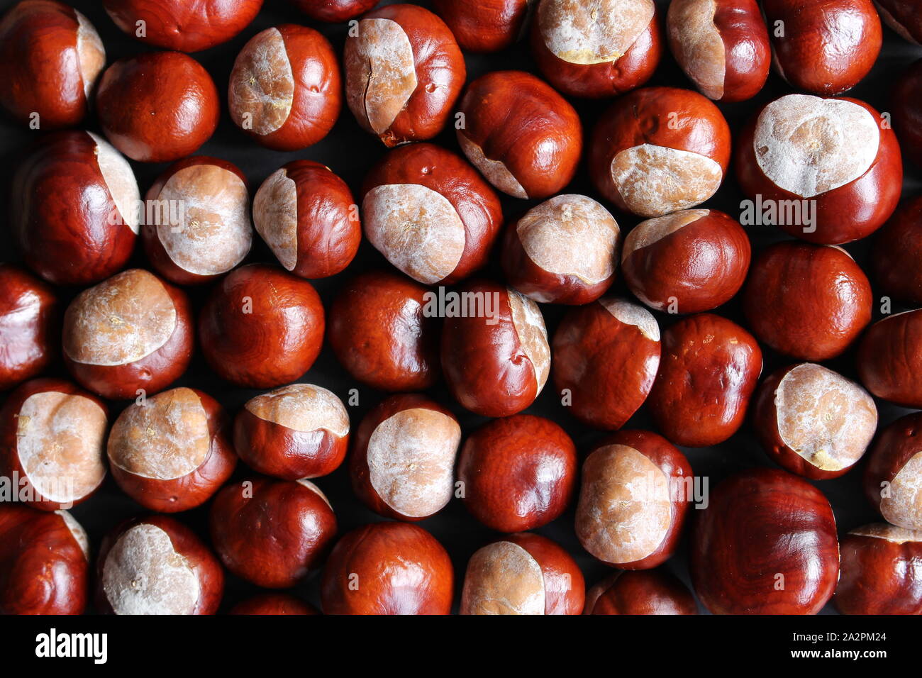 Mise à plat des châtaignes d'utiliser comme arrière-plan ou le papier peint Banque D'Images