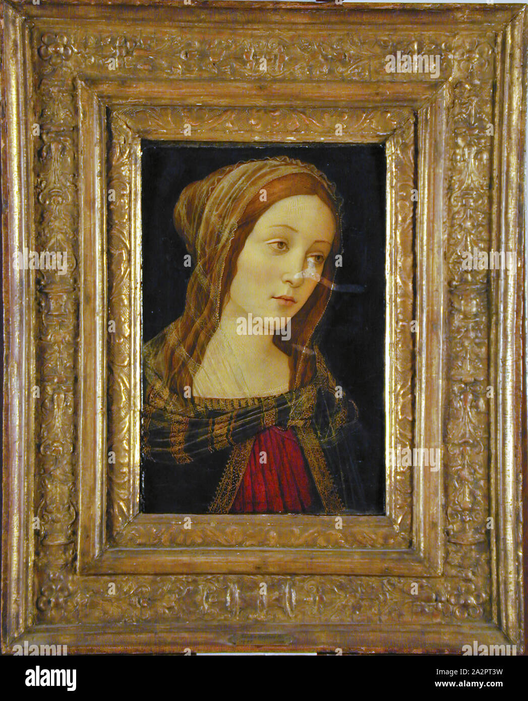 Sandro Botticelli, Italien, 1444 ou 1445 - 1510, la tête d'un Saint, 15e et 16e siècle, la peinture sur panneau de bois, non monté : 17 7/8 x 13 1/8 pouces (45,4 × 33,3 cm Banque D'Images