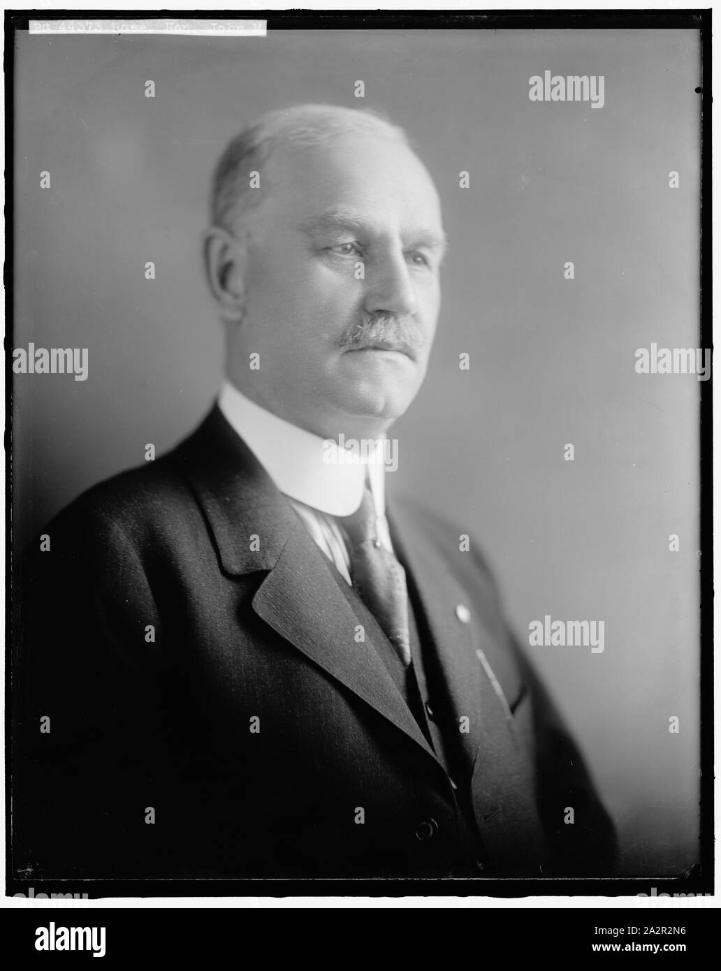 L'HONORABLE JOHN M., Rose Banque D'Images