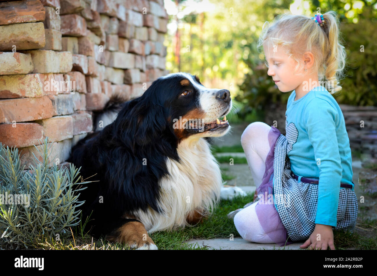 Fille blonde et un chien regardant dans les yeux Banque D'Images