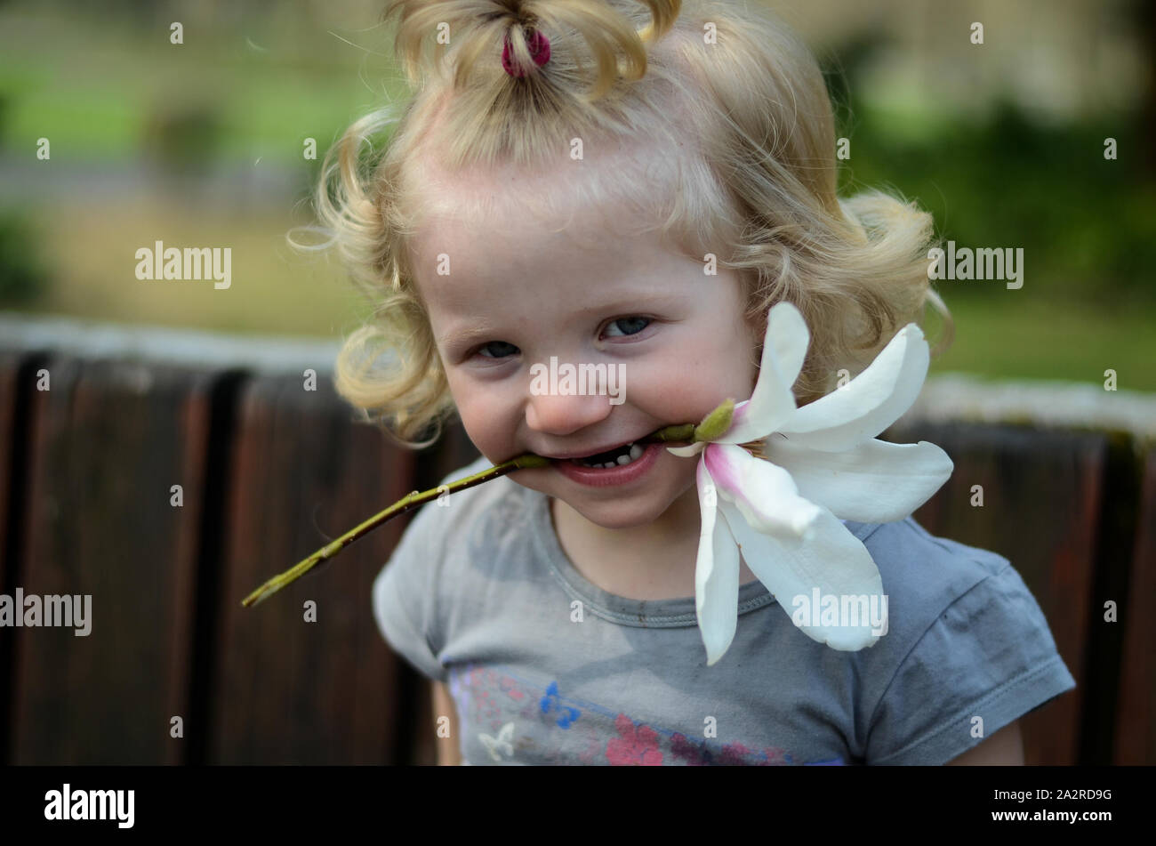 Petit enfant avec une fleur blanche dans sa bouche Banque D'Images