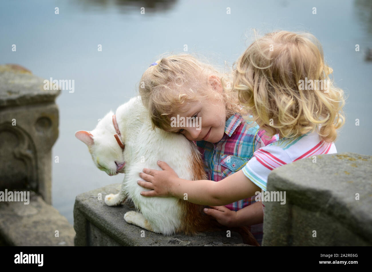 Deux fille blonde avec un chat Banque D'Images