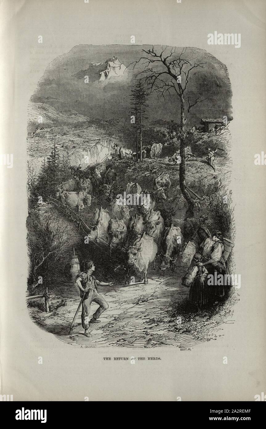 Le retour des troupeaux, des pâturages alpins avec vaches et famille de berger, signé : K. Girardet, Meilleur HAL, S. 281, Girardet, Karl ; Andrew, Best, Leloir, Charles Williams, les Alpes, la Suisse et le nord de l'Italie. Londres : Cassell, 1854 Banque D'Images