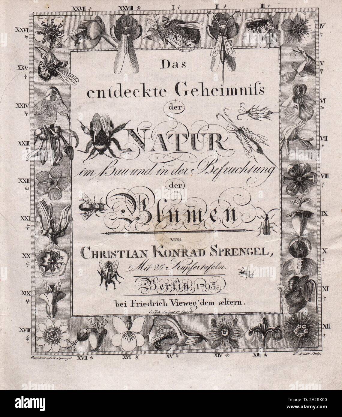 Page de titre de Christian Konrad Sprengels «le secret découvert de la  nature dans la construction et dans la fécondation des fleurs', signé :  dessiné c. Chr., C.K., Sprengel, W. Arndt, couche