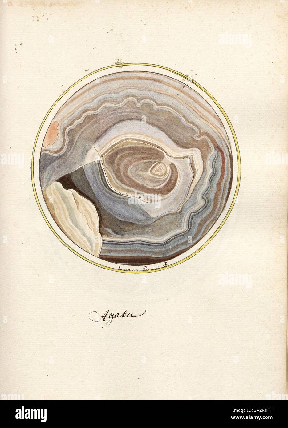 Agata 3, coupe d'une roche, signé : Gaetano Piccini F, fig. 50, p. 107, Piccini, Gaetano (FEC), Gaetano Piccini : brèche] [antica. [Rom] : [s.n.], [17 Banque D'Images