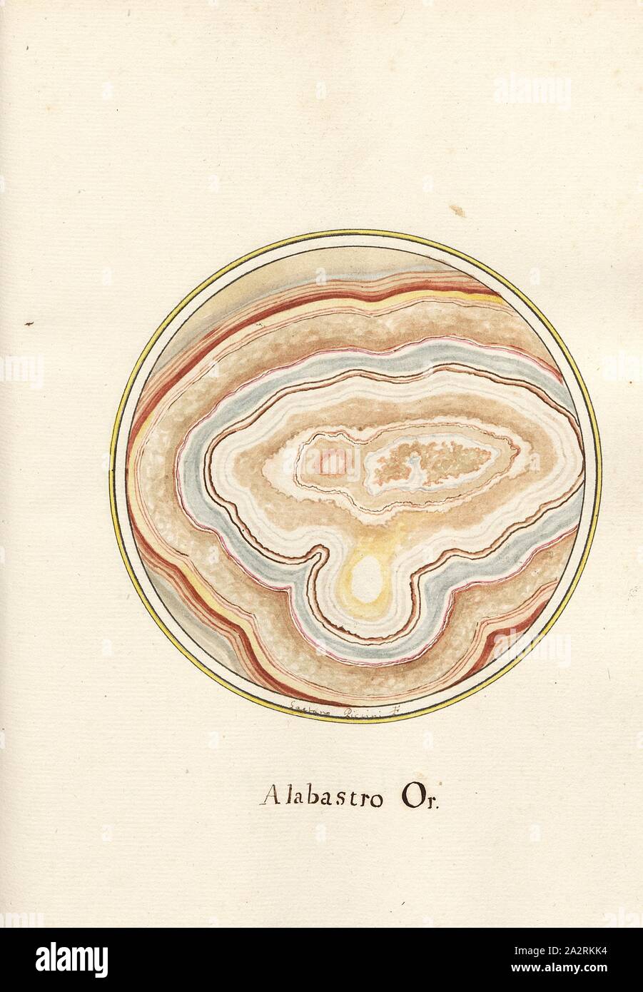 Ou Alabastro. 1, coupe d'une roche, signé : Gaetano Piccini F, fig. 142, p. 291, Piccini, Gaetano (FEC), Gaetano Piccini : brèche] [antica. [Rom] : [s.n.], [17 Banque D'Images