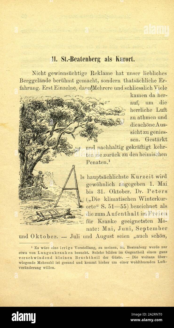 L'arborescence sur le Beatenberg, homme est assis sous un arbre sur le Beatenberg, p. 66, G. Dumermuth : St.-Beatenberg und seine Drahtseilbahn. Bern und Biel : Verlag von Albert Schüler, [1889 Banque D'Images