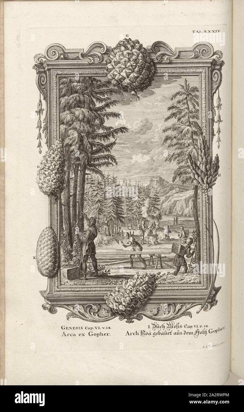 Ex Arca 1 Gopher, titre parallèle : Arch construit à partir de la NDA Holtz Gopher ; l'arche de Noé, signé : J. A. sculptures Friderich, gravure sur cuivre, plaque XXXIV (vol. 1), Füssli, Johann Melchior ; Fridrich, Jacob Andreas (couche externe.), 1731, Johann Jakob Scheuchzer : Kupfer-Bibel (...). Augspurg und Ulm : gedruckt bey Christian Ulrich Wagner, 1731-1735 Banque D'Images