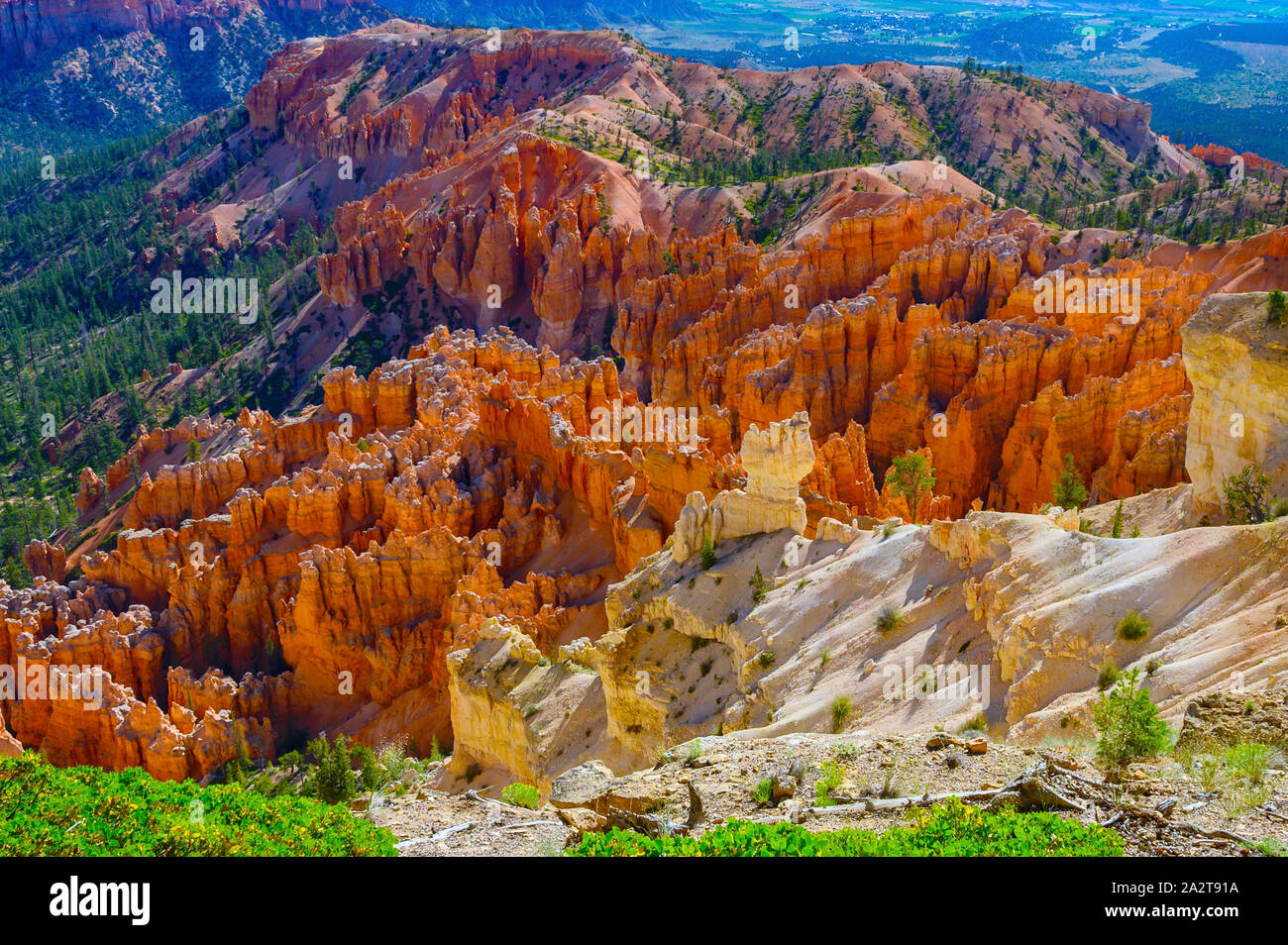 Parc national de Series-Bryce Canyon National Park Banque D'Images