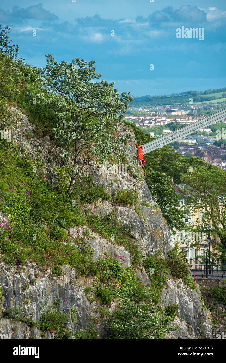 Rock climber sur Avon Gorge près de Clifton Suspension Bridge, Bristol, Avon, England, UK. Banque D'Images