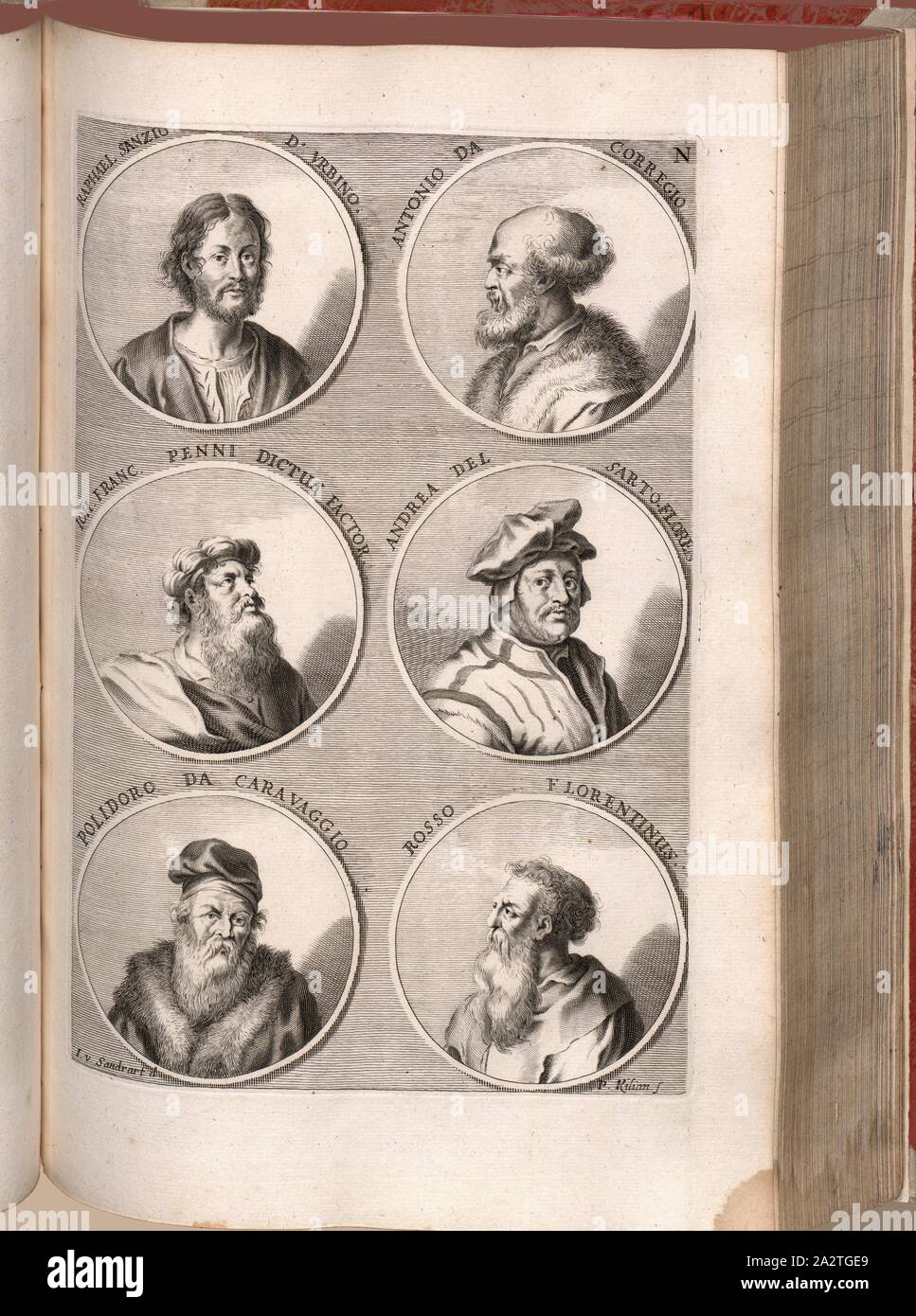 Raphael Sanzio d'Urbino, Antonio da Corregio, Ion. Franc. Penni dit que fait, Andrea del Sarto -Flores, Polidoro da Caravaggio, Rosso Florence, Portrait de Raffaello Sanzio, Antonio Allegri da Corregio, Giovanni Francesco Penni, Andrea del Sarto, Polidoro da Caravaggio, Giovanni di Bartolo Rosso, signé : I. C. Chr., Sandrart d, P. Kilian s, fig. 13, N, après p. 64, Joachim von Sandrart, (del.) ; Kilian, Philipp (sc.), 1774, Joachim von Sandrart:Teutsche Academie der Bau- und Bildhauer- Maler-Kunst worinn : die Regeln und Lehrsätze dieser Künste gegeben, nicht weniger zu Erläuterung multiples Banque D'Images