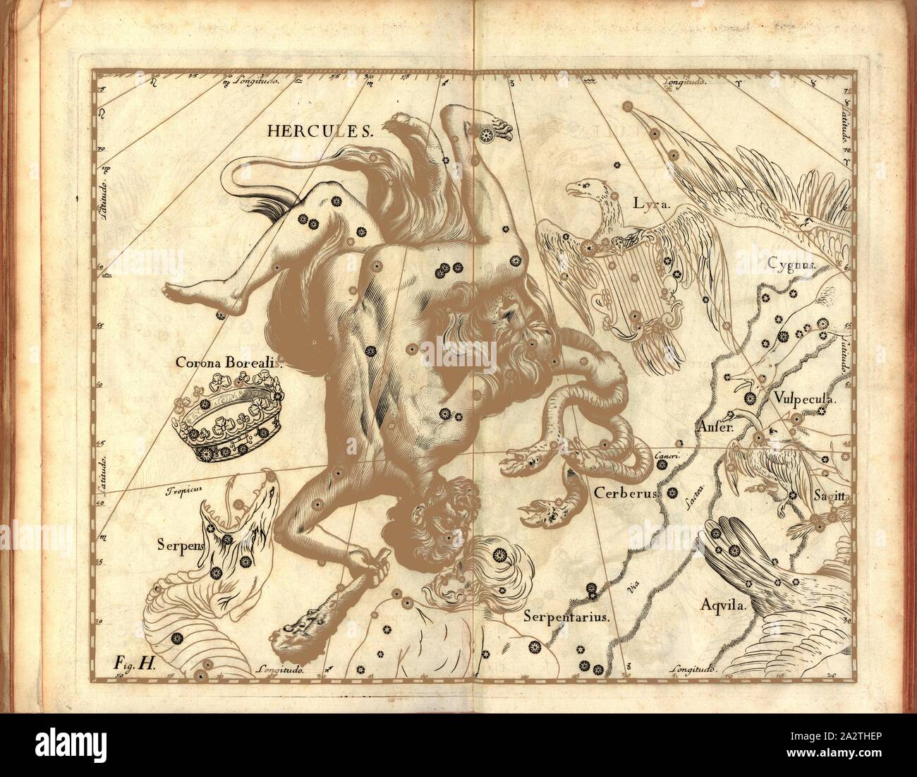 Hercules, plan de la constellation d'Hercule, fig. 12, fig. H, à la p. 21, Johannes Hevelius, Johann Ernst von Schmieden : Johannis Hevelii prodromus astronomiae, exhibens fundamenta, quae ad novum planè tam & correctiorem construendeum catalogum fixarum stellarum, quàm annonce omnimodè corrigendas onmium planetarum tabulas spectant ; nec non novas & correctiores tabulas solares, aliasque ad astronomiam plurimas pertinentes [...]. Johannis-Zachariae Stollii Gedani : typis, 1690 Banque D'Images