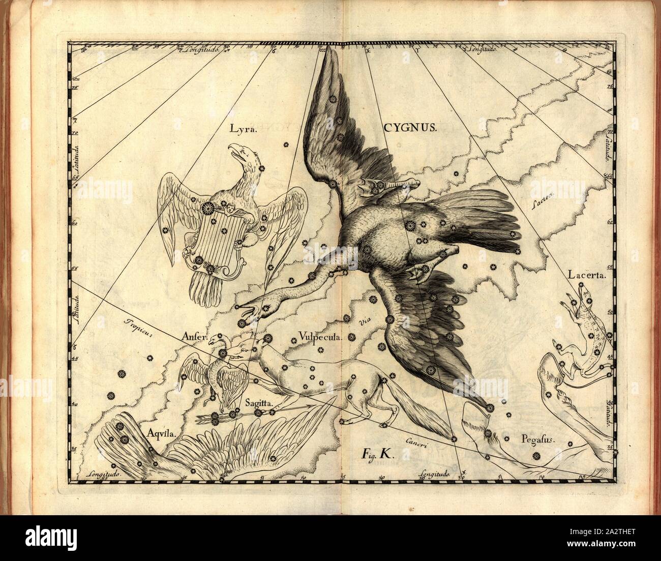 Cygnus, la carte de la constellation du Cygne, fig. 14, fig. 000, p. 21, Johannes Hevelius, Johann Ernst von Schmieden : Johannis Hevelii prodromus astronomiae, exhibens fundamenta, quae ad novum planè tam & correctiorem construendeum catalogum fixarum stellarum, quàm annonce omnimodè corrigendas onmium planetarum tabulas spectant ; nec non novas & correctiores tabulas solares, aliasque ad astronomiam plurimas pertinentes [...]. Johannis-Zachariae Stollii Gedani : typis, 1690 Banque D'Images