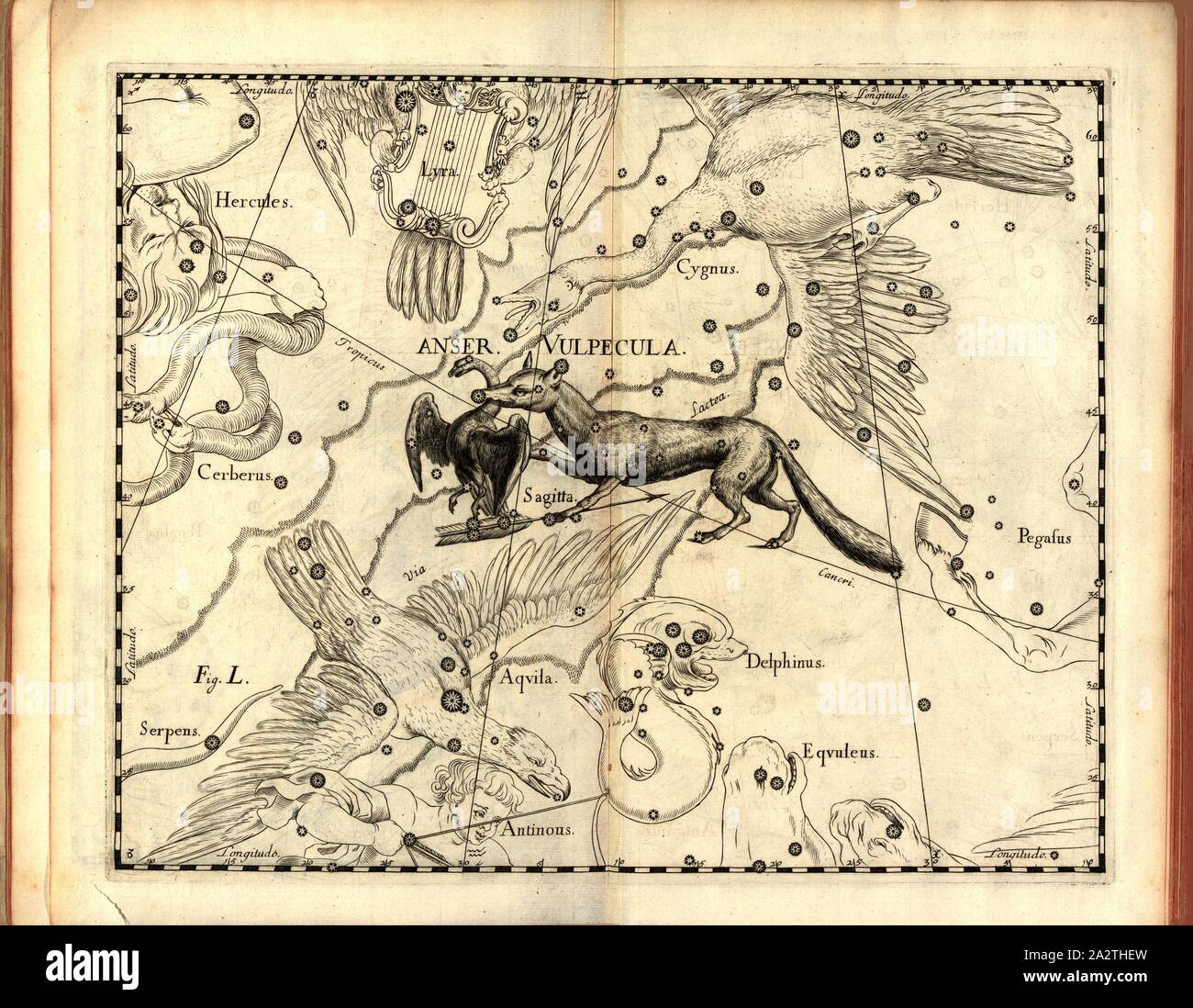 Envisager de Vulpecula, la carte de la constellation de la Fox, fig. 15, fig. L, à la p. 21, Johannes Hevelius, Johann Ernst von Schmieden : Johannis Hevelii prodromus astronomiae, exhibens fundamenta, quae ad novum planè tam & correctiorem construendeum catalogum fixarum stellarum, quàm annonce omnimodè corrigendas onmium planetarum tabulas spectant ; nec non novas & correctiores tabulas solares, aliasque ad astronomiam plurimas pertinentes [...]. Johannis-Zachariae Stollii Gedani : typis, 1690 Banque D'Images