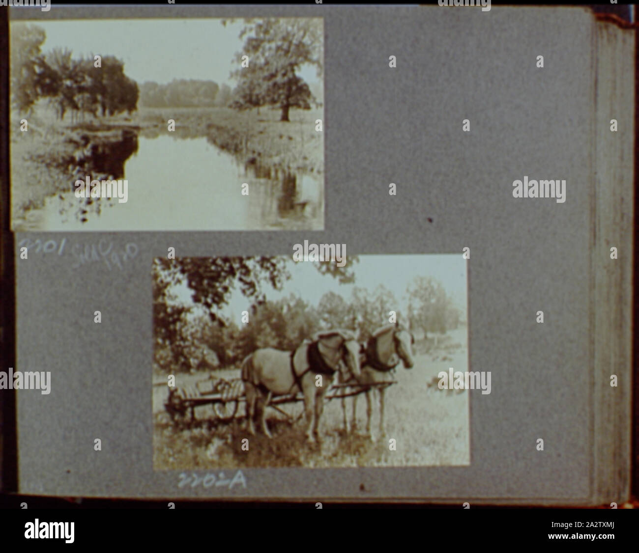 Des tirages de référence, 1919-1920, les chiffres 2133-2377. Banque D'Images