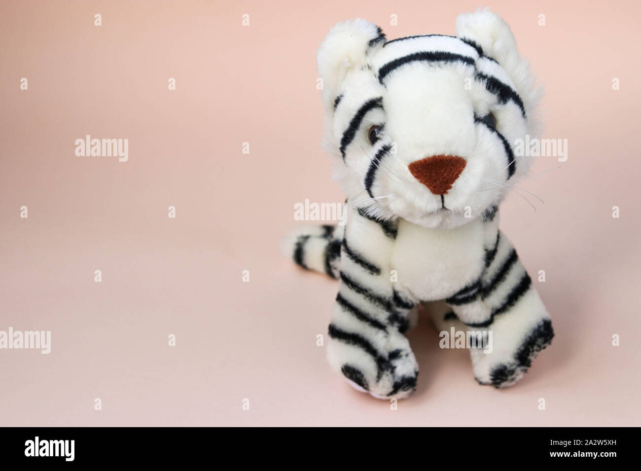 Toy white tiger cub sur la pêche de fond avec la réflexion de l'ombre Banque D'Images